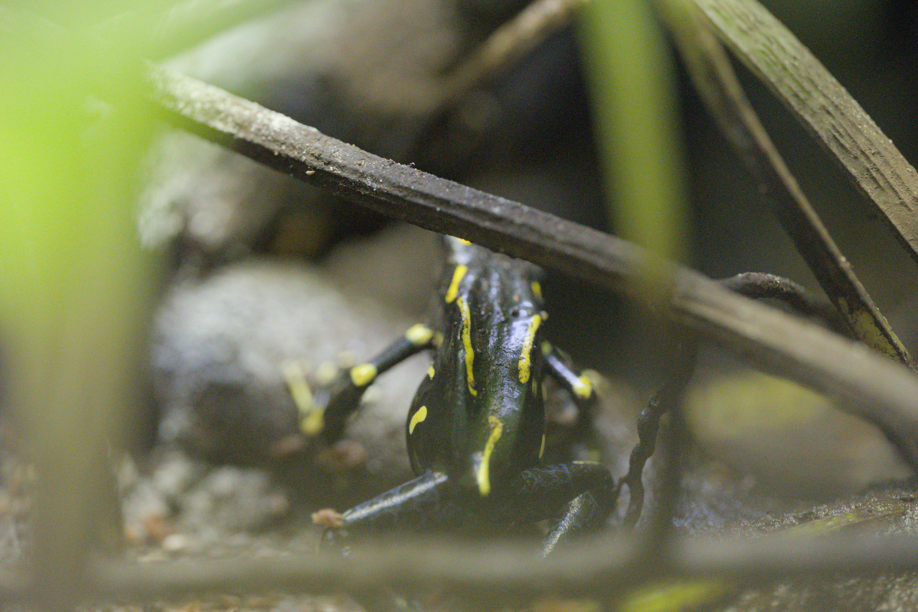 2025/10/12 - zoo/DSC_0188.jpg